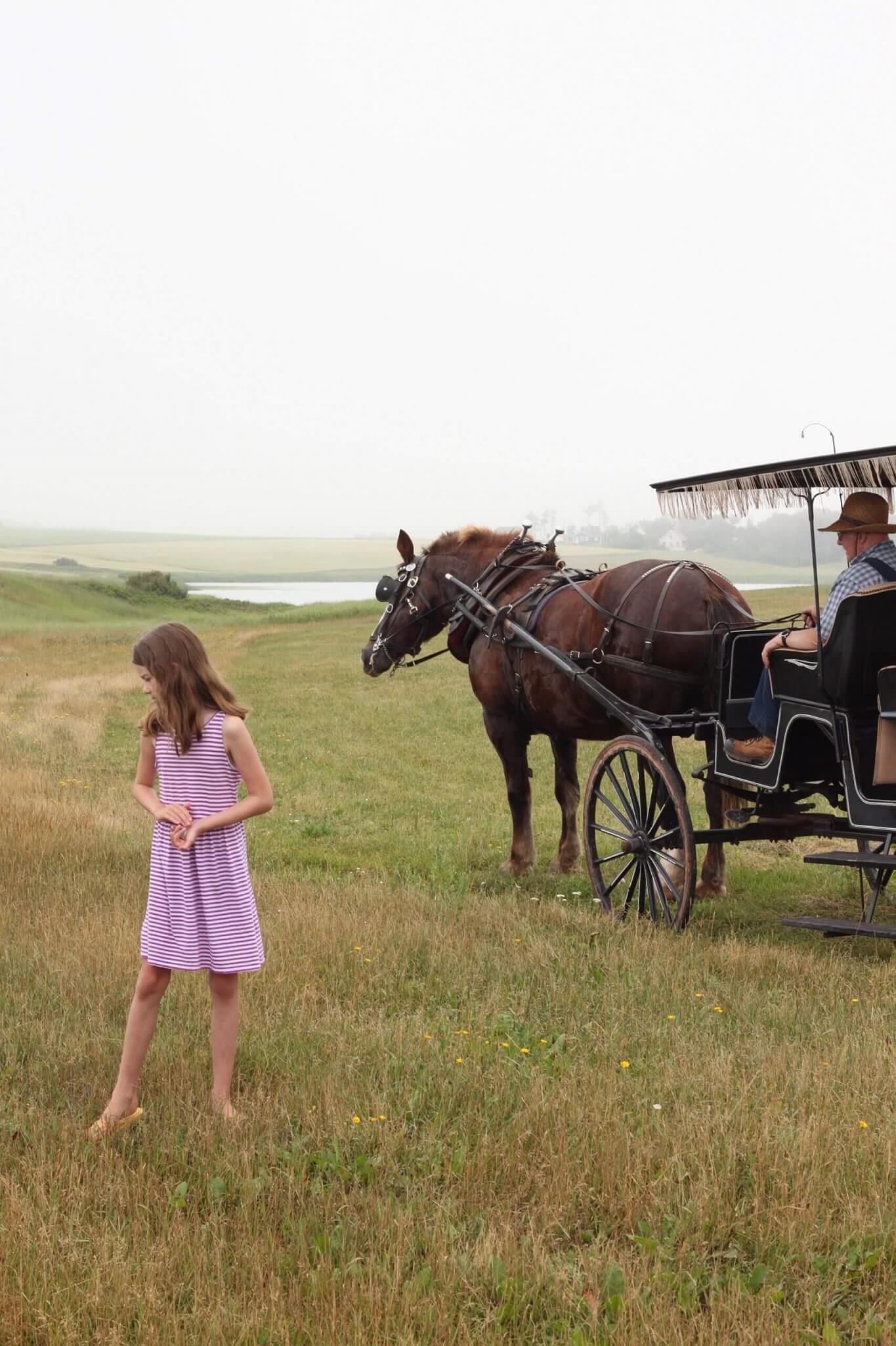 matthew's carriage ride